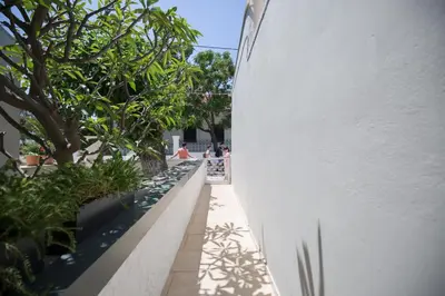 a white wall with trees and plants on a sidewalk at Chalepa Boutique Apartment in Chania Town