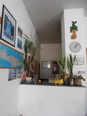 a shelf with plants and a clock on a wall at Diana Rooms in Chania Town