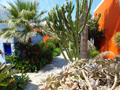 a garden with cacti and plants in front of a building at Marina Sands in Agia Marina Nea Kydonias