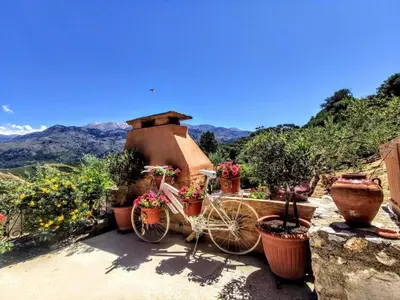 a bike parked on a wall with potted plants at Thymes traditional house in Loúlos
