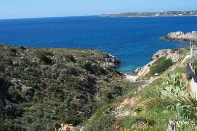a view of the ocean from a hill with trees at Comfortable House near Chania in Kalathas