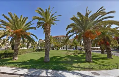 a group of palm trees in a park at Marelen Apartment Near Chania Center in Chania Town
