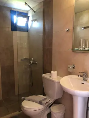 a bathroom with a shower and a toilet and a sink at Flisvos Rooms in Frangokastello