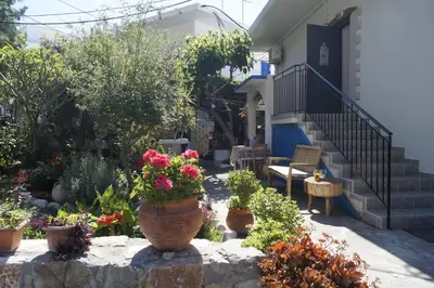 a garden with potted plants and a staircase at Paralia guest house in Agia Roumeli
