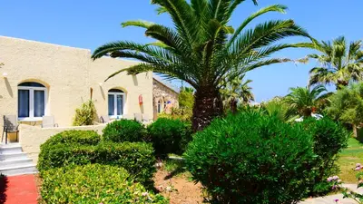 a palm tree in front of a house with bushes at Stavros Villas&Apartments in Gerani Chanion