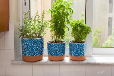 four plants in blue and orange vases on a window sill at Thalassa Old Town Apartment in Chania Town