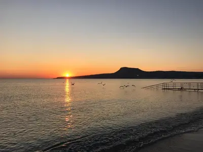 a group of birds flying over the water at sunset at Porto Kalyves Seaside Aparthotel in Kalyves