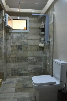 a bathroom with a toilet and a shower at Antony Home in Kounoupidhianá