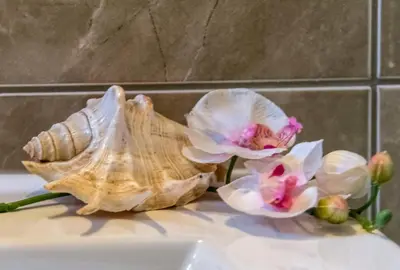 a shell and flowers sitting on a sink at BO Home in Souda