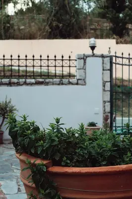 a plant in a pot next to a fence at Villa Elea Apartments in Spiliá