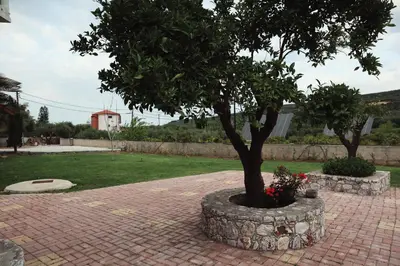 a tree in a stone circle on a brick sidewalk at Villa Elea Apartments in Spiliá