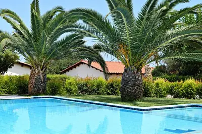 two palm trees in front of a swimming pool at Aspalathos Villas in Fílippos