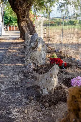a group of rocks and flowers next to a tree at Aadonis traditional house on the Sea in Kolymvari