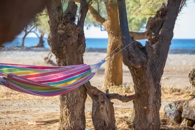 a hammock tied to a tree on the beach at Aadonis traditional house on the Sea in Kolymvari