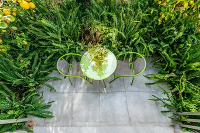 a table and chairs in a garden with plants at Olive Lemon Biophilic House & Lush Forest Garden in Vamos