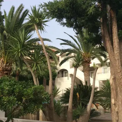a white building with palm trees in front of it at Maria Suites in Plataniás