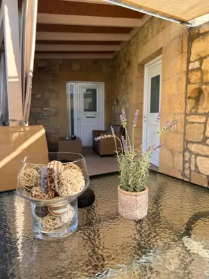 a table with a bowl of shells and a plant at Villa Martini in Kissamos