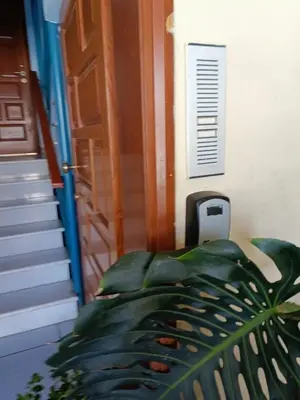 a door to a house with a plant in front of it at Penthouse in Chania Town