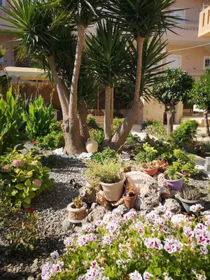 a garden filled with lots of plants and trees at Nicolas Studios & Apartments in Agia Marina Nea Kydonias