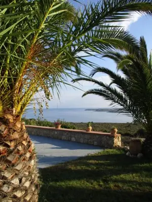 two palm trees in front of a walkway with the ocean at Theodosia Studios in Kalathas