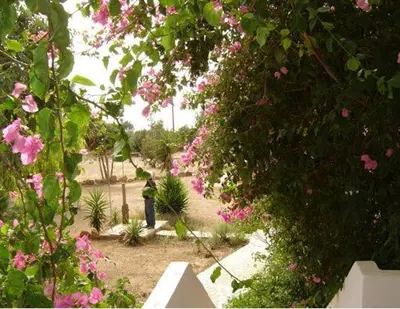 a person standing in a garden with pink flowers at Fragokastello Star in Frangokastello