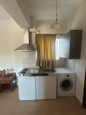 a kitchen with a sink and a washing machine at Kandania Apartments in Kántanos