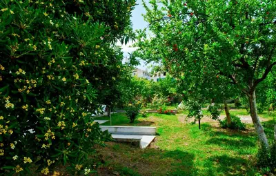 a park with trees and a bench in the grass at Thodorou Villa in Agia Marina Nea Kydonias