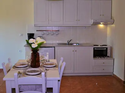 a kitchen with a table with a vase of flowers on it at Elianthos Villas in Vamos