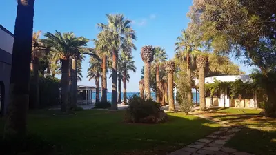 a row of palm trees in a park next to the water at Marita's Apartments in Agia Marina Nea Kydonias