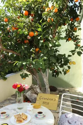 an orange tree sitting next to a table with food at Grandma's Nest in Kissamos