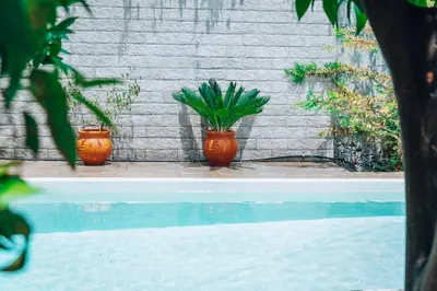 three plants in orange vases sitting next to a wall at Villa Stafidaki in Stalos