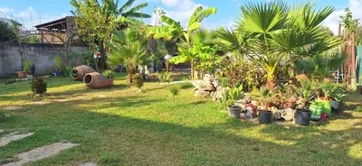 a garden with palm trees and plants in a yard at Modern Villa in Chania in Perivólia