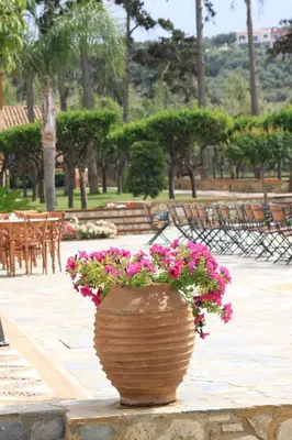 a large pot of pink flowers in a park at Omega Platanias in Plataniás