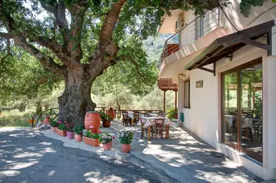 a patio with a tree and tables and chairs at Antartisa B&B in Límni