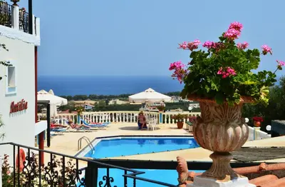 a vase filled with flowers sitting next to a pool at Antilia Apartments in Tavronitis