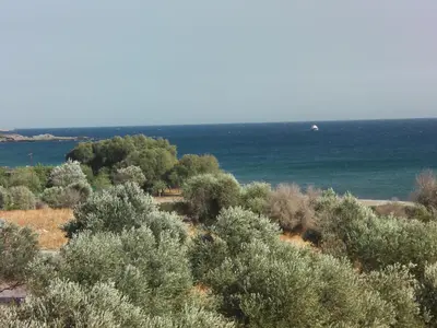 a field of trees with the ocean in the background at Serenity Hideaway in Palaiochóra