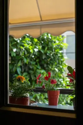 a window with potted plants on a window sill at Agalide in Kissamos