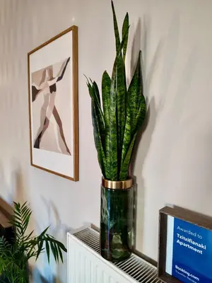 a vase with a plant in it on a shelf at Tzitzifianaki Cozy Apartment in Chania Town