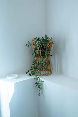 a plant in a wicker basket on a wall at Mare II - Studio in Old Harbor in Chania Town