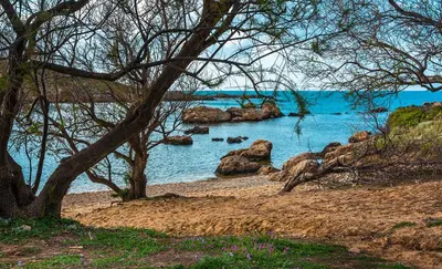a view of a beach with rocks in the water at Thea Artemis in Kato Daratso