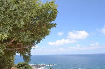 a view of the ocean from behind a tree at Elafonisi House in Livadia