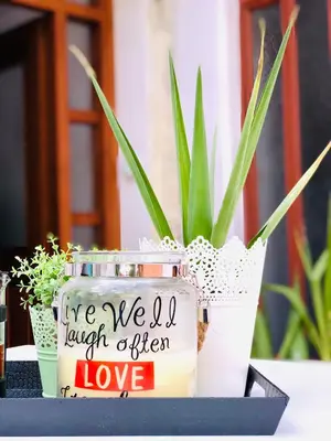 two potted plants sitting on a table with a sign at Anastasia’s House in Kissamos