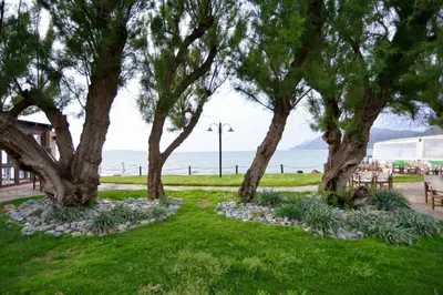 a park with trees and the ocean in the background at Villa Nopigia Mare in Kissamos