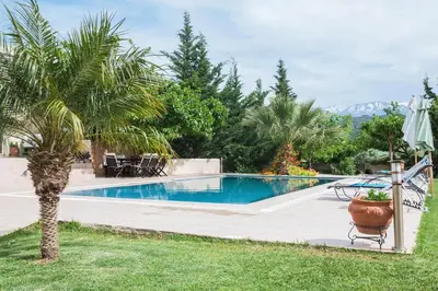 a swimming pool with a palm tree in a yard at Orange Tree Garden vacation home in Ayiá