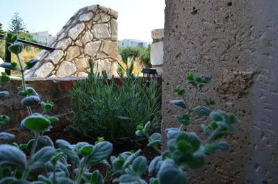 a garden with some plants and a stone building at MV House Agia Marina in Agia Marina Nea Kydonias