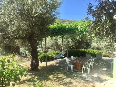 a table and chairs under a tree with a hammock at Villa Christina Anidri in Ánidhroi