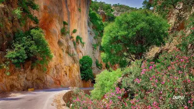 a dirt road with flowers on the side of a mountain at Bitsakis Family I - Paleochora Luxury House in Palaiochóra