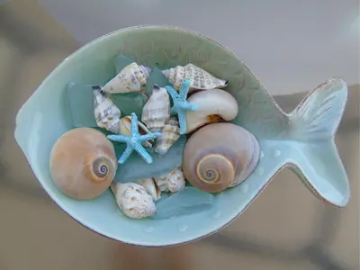 a bowl filled with seashells and starfish at Tonia's Apartment in Kissamos