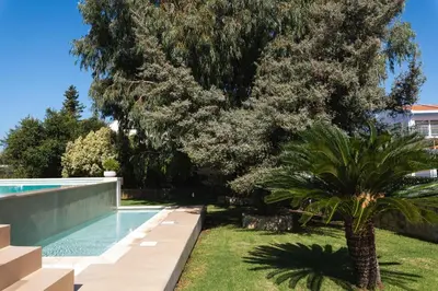 a palm tree in a yard next to a swimming pool at Cedar Tree Villa in Kounoupidhianá