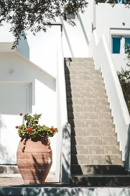 a staircase with a pot of flowers in front of a building at Fata Morgana Studios & Apartments in Frangokastello